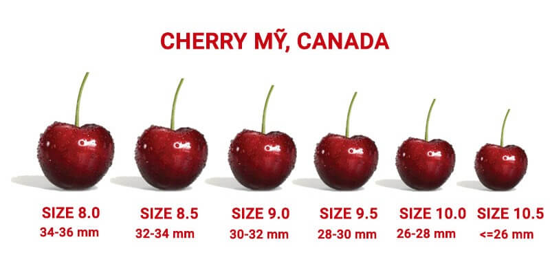 Cherry Chile có vị đang