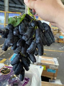 Chùm nho ngón tay còn nguyên lá