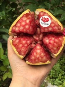 Lựu đỏ Thái Lan