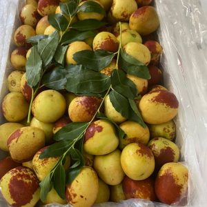 Mua táo tàu tươi ở đâu TPHCM