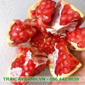 Lựu Đài Loan - Trái Cây Xanh