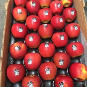 Táo Koru Organic - New Zealand - Giá bao nhiêu