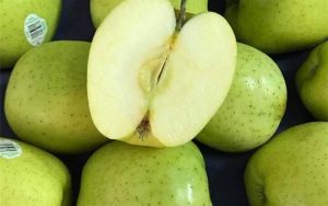 Táo orin Nhật Bản