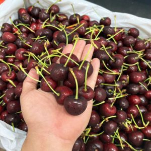 Giá cherry Mỹ bao nhiêu 1 kg