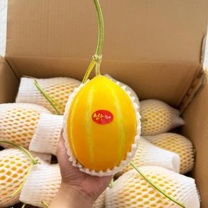 Cửa hàng bán dưa lê Hàn Quốc