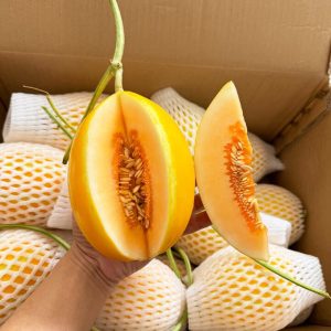 Quả dưa lê Hàn Quốc