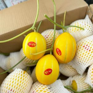 Thùng dưa lê Hàn Quốc nhập khẩu