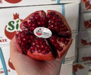 lựu ấn ruột đỏ