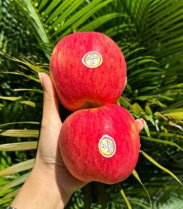 mua táo canada ở Trái cây Xanh