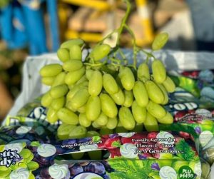 nho xanh Mỹ cô gái