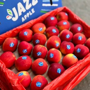 táo jazz newzealand