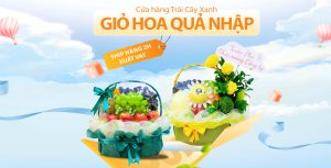 Giỏ hoa quả nhập khẩu (thumbnail)