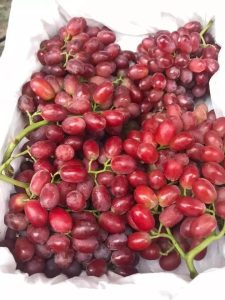 Nho đỏ Ruby không hạt