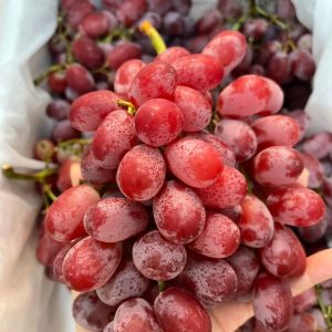Nho đỏ không hạt nhập khẩu