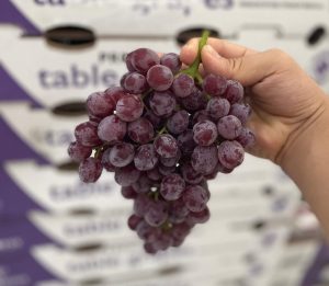 Mua nho kẹo mỹ ở Trái Cây Xanh