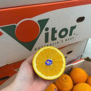 Cam Vàng Úc Victor