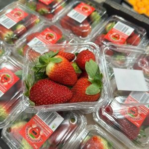 Cửa hàng bán dâu gần đây