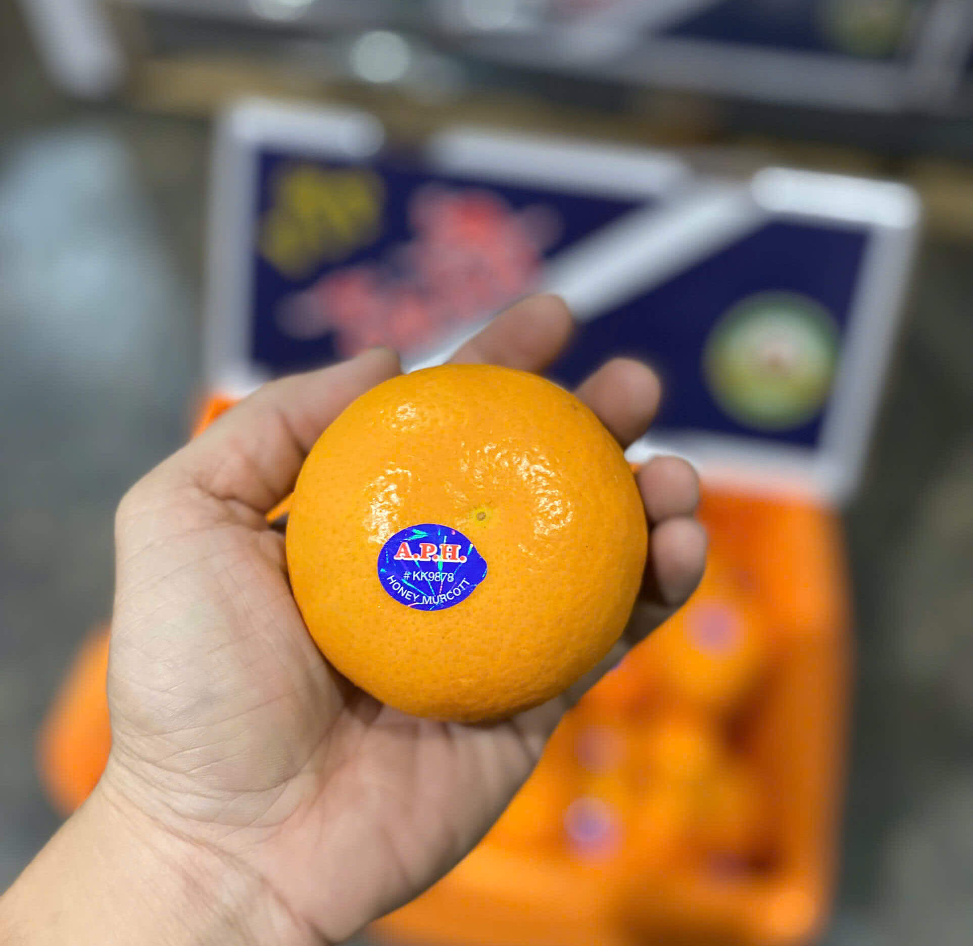 Giá Quýt APH bao nhiêu 1kg