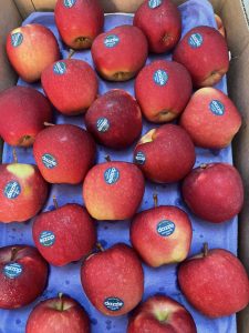 Hướng dẫn bảo quản và sử dụng táo Dazzle