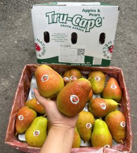 Lê Nam Phi Tru-Cape