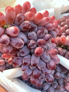 Nho đỏ Long Crimson