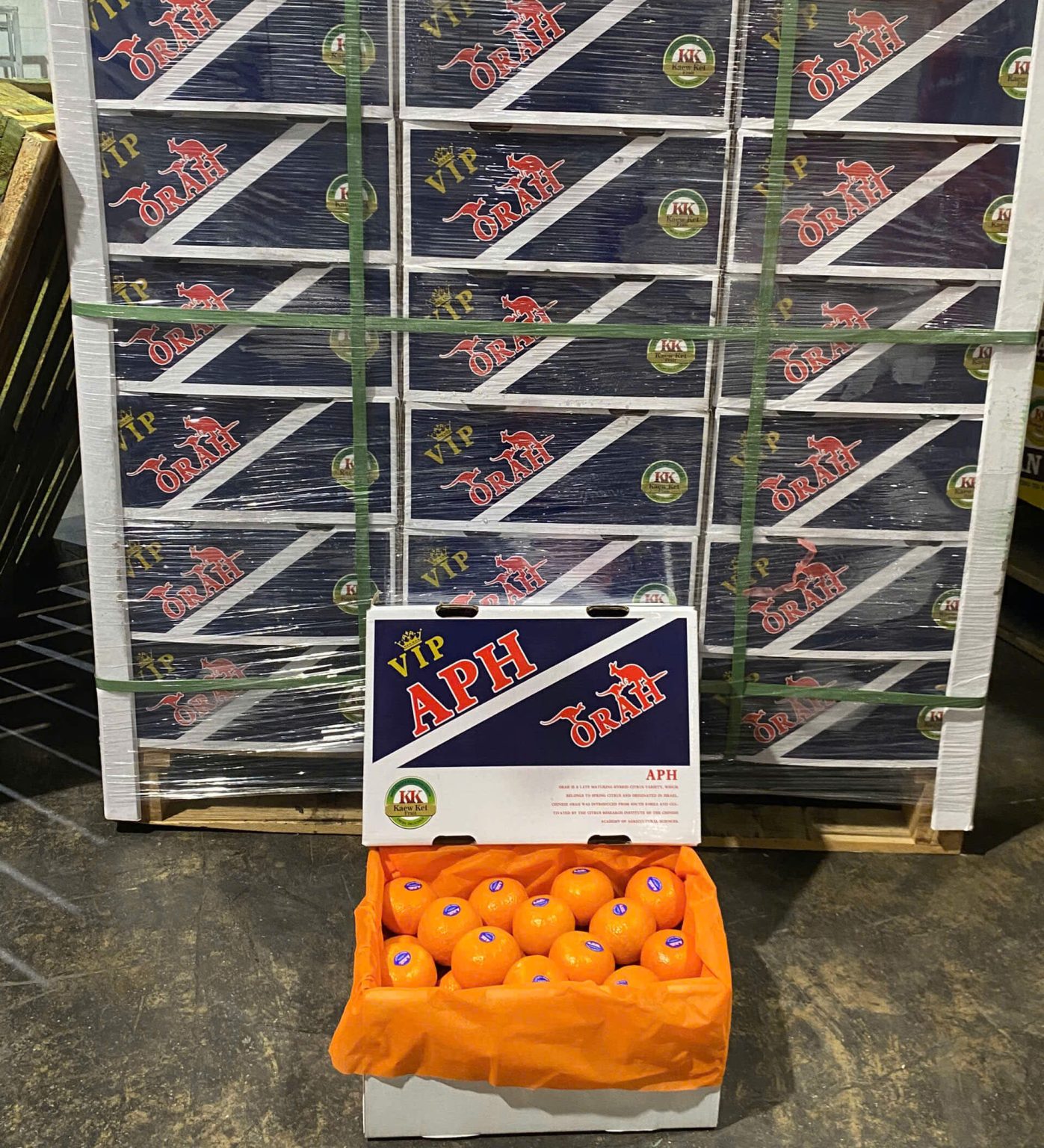 Giá Quýt Úc A.P.H bao nhiêu 1kg? Cửa hàng bán Quýt Úc TPHCM