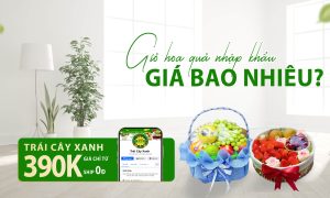 Giỏ hoa quả nhập khẩu giá bao nhiêu