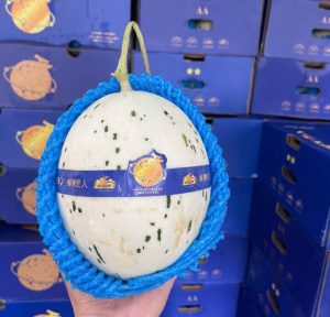 Quả dưa sữa Nhật Bản nhập khẩu