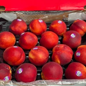 Quả xuân đào Australia