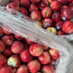 Thùng Xuân đào Úc nhập khẩu