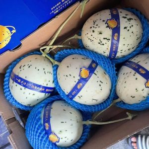 Thùng dưa sữa Nhật Bản