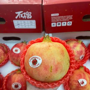 Lựu đỏ Tunisia S6