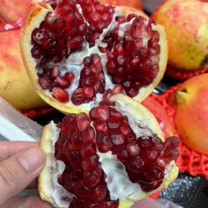 Lựu đỏ hạt mềm Pomegranate