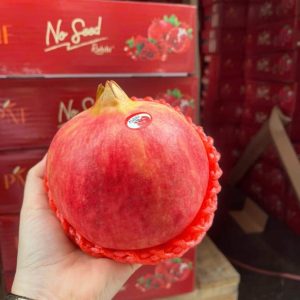 Lựu đỏ hạt mềm - Pomegranate VIP