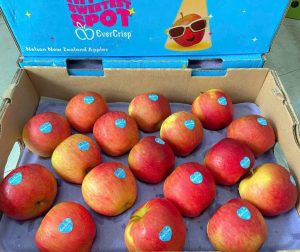 Táo mật Ever Crisp New Zealand