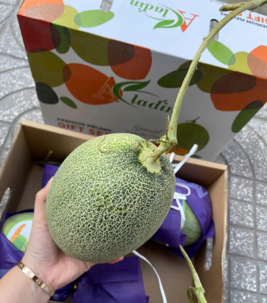 Giá thùng Dưa lưới Aladin Đài Loan