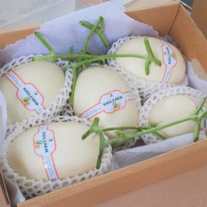 Thùng Dưa lưới Bạch Ngọc bao nhiêu 1kg