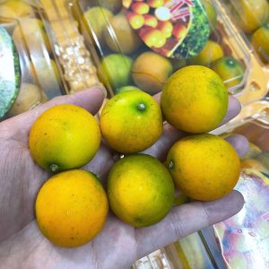 Trái kim quất hay còn được gọi là tắc đường