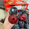 Mận Chile ruột đỏ nhập khẩu