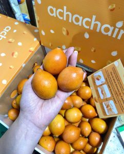 Trái Achacha là trái gì