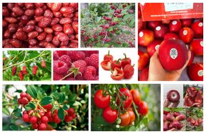 Trái cây màu đỏ