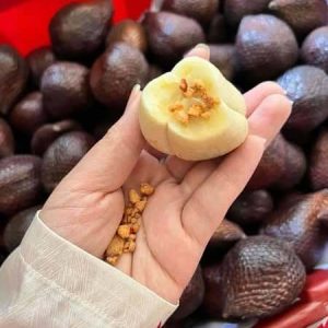 Cách ăn mây indonesia