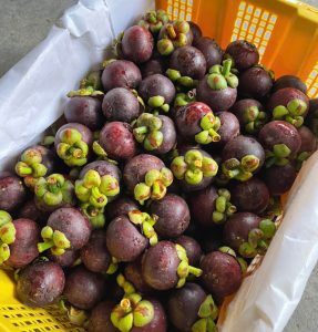 Măng cụt Thái là gì