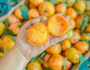 Măng cụt rừng vị như thế nào