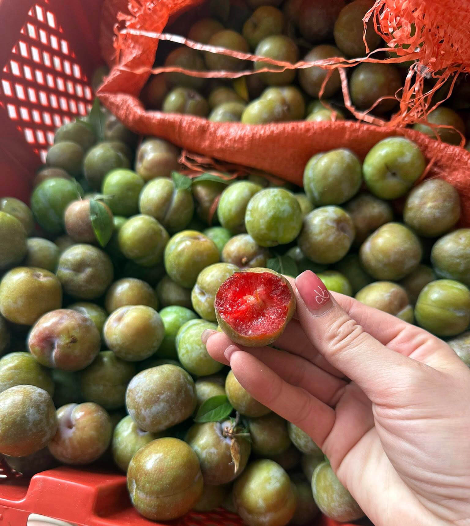 Mua mận Tam Hoa ở đâu uy tín