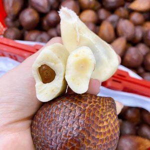Quả mây indonesia