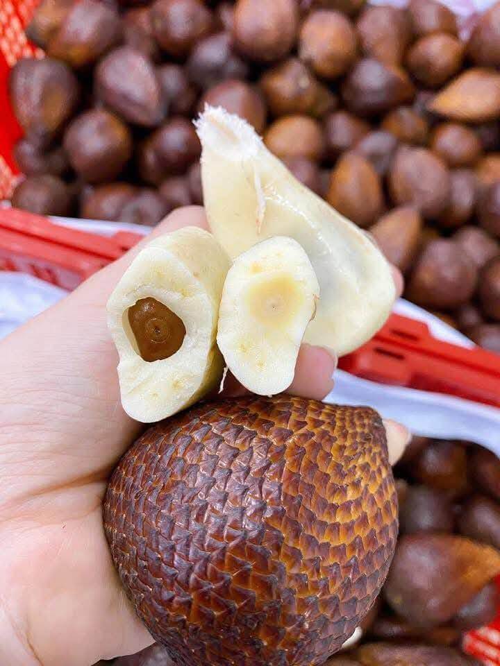 Quả mây indonesia