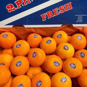 Cách phân biệt Quýt Úc 2PH thật và hàng nhái