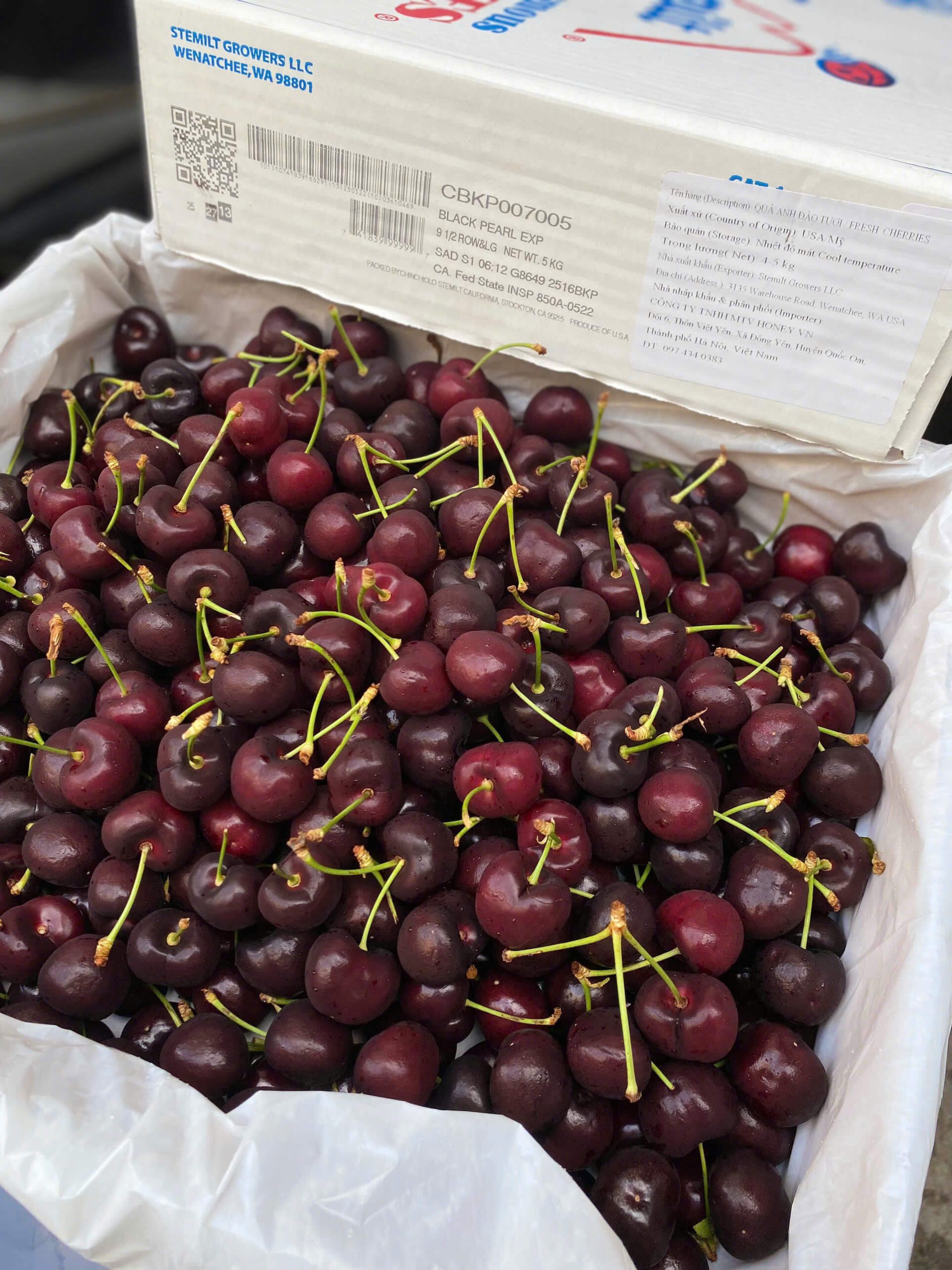 Cửa hàng bán Cherry Black Pearl
