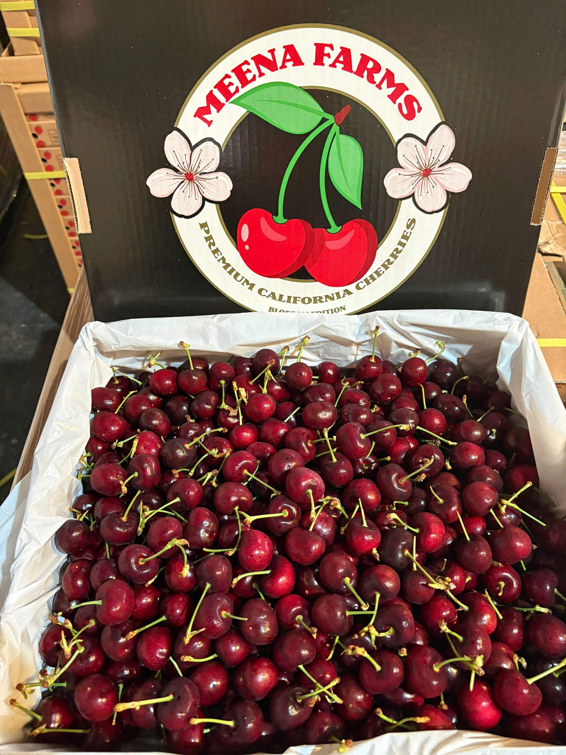 Cửa hàng bán Cherry Meena Royal Hazel Mỹ